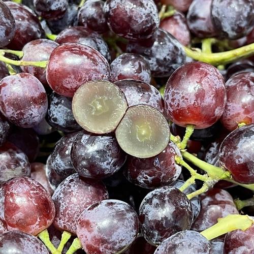6FF18 tải ứng dụng huyện Hàm Yên trực tiếp Đăng Ký 6FF Com Mới Nhất 2025 về công tác thi hành án 6FFF.com thể thao, bắn cá, slot.