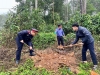 VKSND khu vực 3 – Tuyên Quang hưởng ứng lễ phát động “Tết trồng cây đời đời nhớ ơn Bác Hồ” Xuân Bính Ngọ 2026